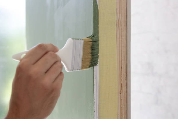 Mold Documentation for Insurance Claims in Carpentersville, IL
