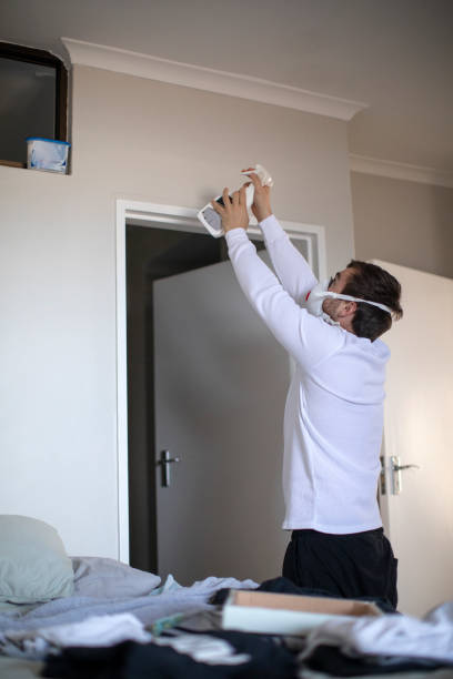 Best Dehumidification Services  in Carpentersvle, IL