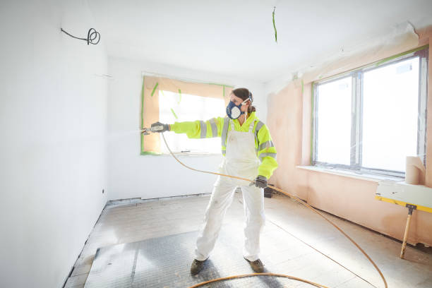 Trusted Carpentersville, IL Mold Removal Experts