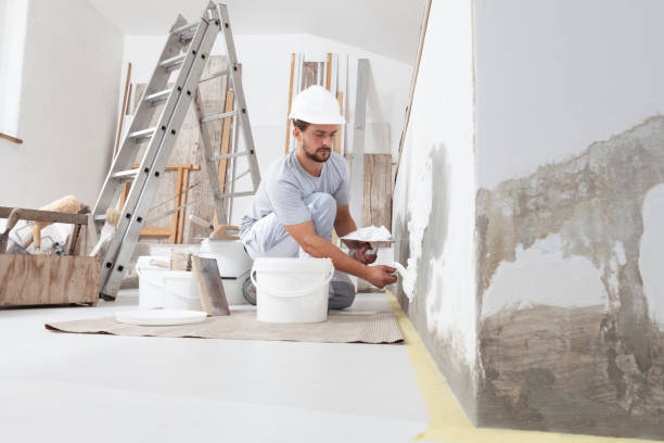 Best Residential Mold Inspection & Testing  in Carpentersvle, IL