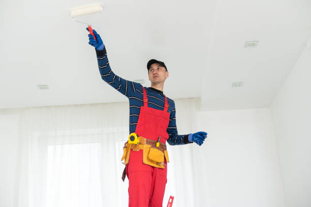 Best Asbestos and Lead Testing During Mold Inspection  in Carpentersvle, IL