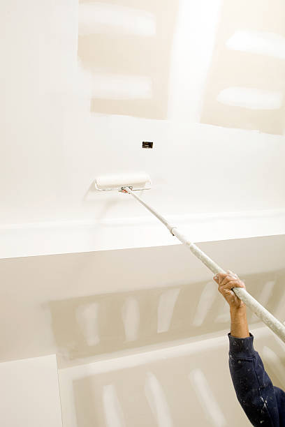 Best Mold Prevention Services  in Carpentersvle, IL